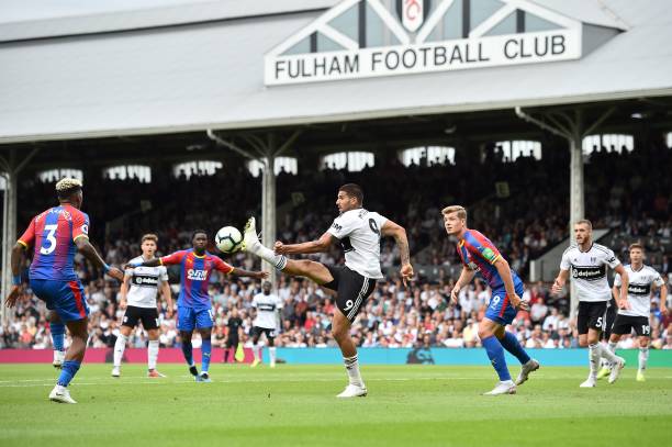 球迷的目光 球迷的目光