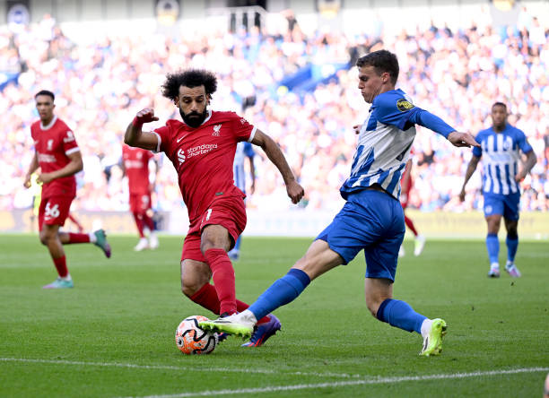 进步也与其 进步也与其